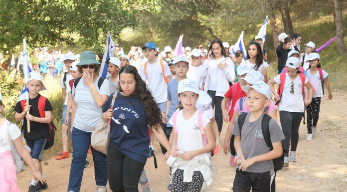 הולכים בדרך