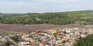 ברדה הצליח להגדיל את העדיפות לתושבי העיר מגדל העמק
