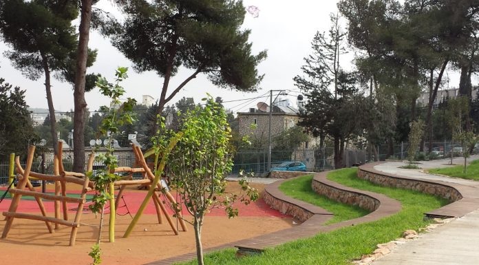 מזרקת מים ותיאטרון חוץ בגן קק"ל בנצרת עילית
