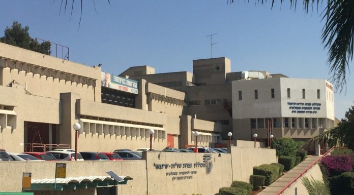 הנדסאים בעברית