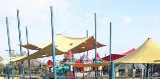 דמותה של הצפרדע "ניקיטה" הוטבעה על פחי "הצפרדע"