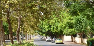 שדרוג רחוב 'נחל צבי'