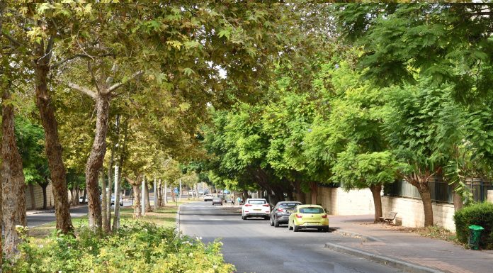 שדרוג רחוב 'נחל צבי'