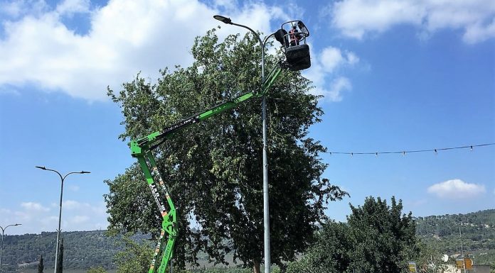החלפת כל התאורה בעיר לנורות חכמות