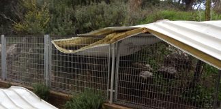 : אלכס גדלקין נרתם באהבה לסייע למתיישבים.