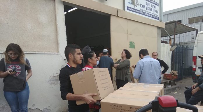 יותר מ-300 סלי מזון לניצולי שואה
