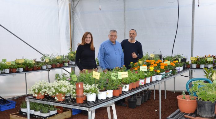 מערכת החינוך במגדל העמק לא שוקדת על השמרים