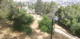 200 פנסי רחוב חדשים וחסכוניים בעפולה