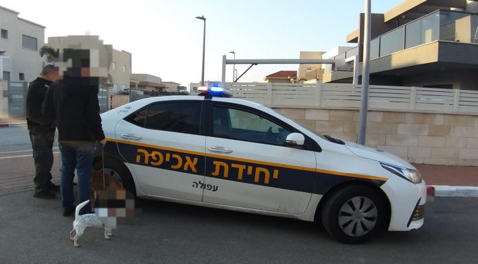 אגף הפיקוח יגביר את האכיפה על צואת כלבים