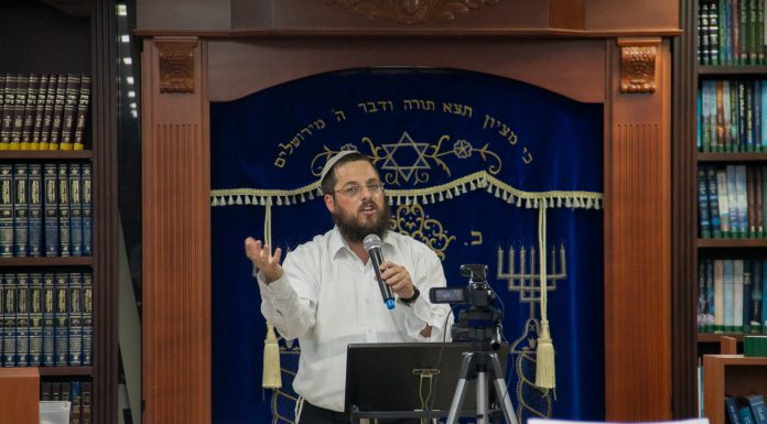 זוכרים את אבי הגרעינים