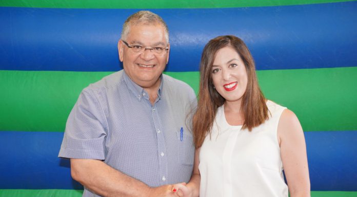 עדי שטיין
