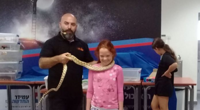פעילות זוחלים בצריף