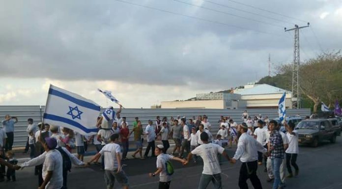 השבת המחברת בנוף הגליל
