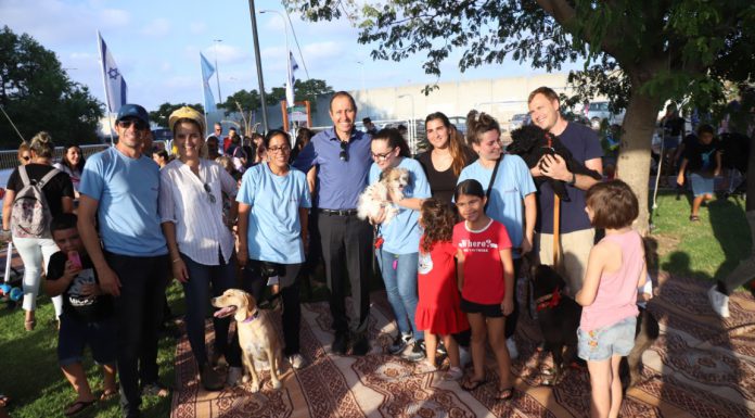 נחנך פארק לכלבים בעכו
