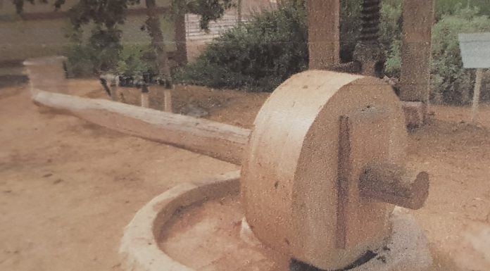 הקמת גן ארכאולוגי של בתי בד