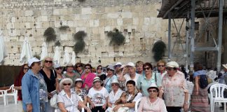 ניצולי שואה, מסע לעולם היהודי בפועל