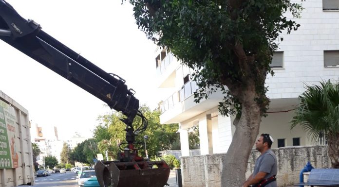 עושים פסח בראש השנה