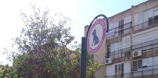 בעפולה יוצאים למבצע נגד צואת כלבים