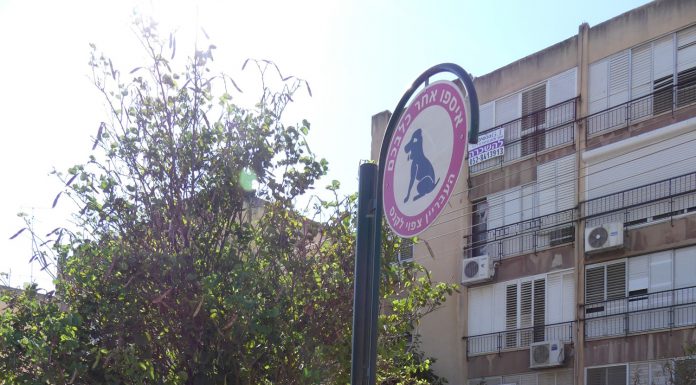 בעפולה יוצאים למבצע נגד צואת כלבים