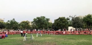 כלבים משוטטים בעפולה יועברו לכלביה עד למציאת בית חם