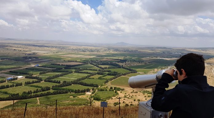 תיירות עין זיוון מציעה פעילות ייחודית ליום הבחירות