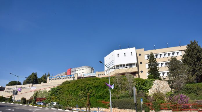 מודדים להצלחה