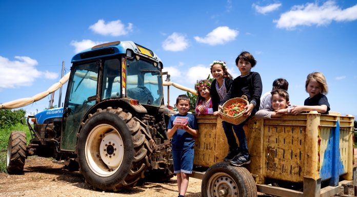 בוסתן בראשית נפתח בסוף השבוע