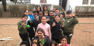 25 מוסדות חינוך בעפולה הוסמכו ל"ירוקים"