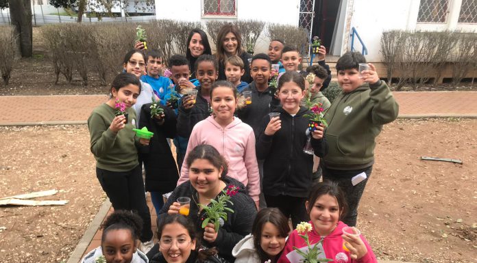 25 מוסדות חינוך בעפולה הוסמכו ל"ירוקים"