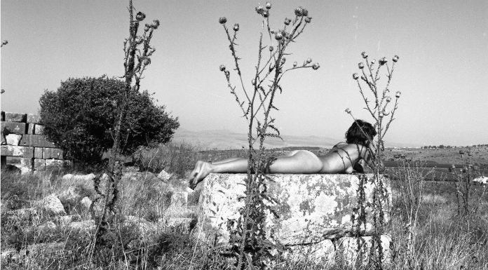 תערוכת צילומי עירום - אריה (סצ'י) שגיא