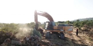 הקמת המרכז למורשת הדרוזים בישראל החלה