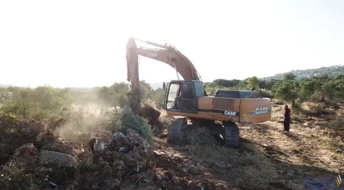 הקמת המרכז למורשת הדרוזים בישראל החלה