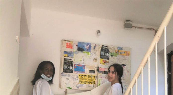 מיזם טיפוח סביבתי בנוף הגליל