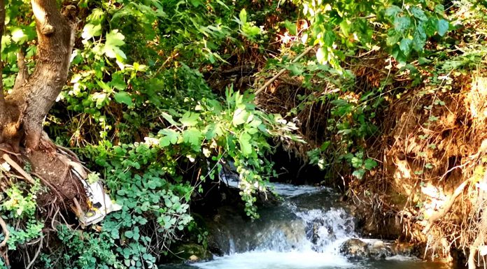 עמותת התיירות 'ארץ הגליל' וקשת יהונתן מזמינים לסיורים מודרכים בגליל