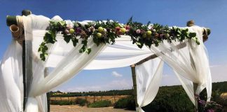 תיירות עין זיוון מזמינה זוגות לערוך חתונה בבוסתן "בראשית"- המתחם לאירוע יוענק ללא תשלום