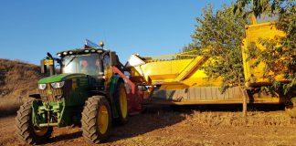 העונה בישראל יבול רב של שקד 7,500 טון