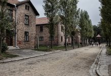 אלעד שושן קלושינר: אימוץ ניצולי שואה - מה זה אומר ומדוע זה חשוב?