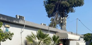 קרדיט תמונה: דוברות עיריית מגדל העמק