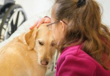 רמת חיפה מובילים בשימוש בטיפול בחיות ככלי טיפולי