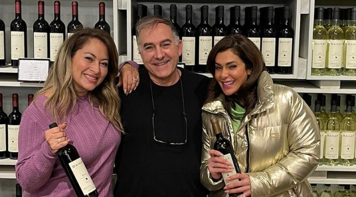 ליהיא גרינר ונעמה קסרי, נפשו בסוף השבוע בכפר הנופש עין זיוון עם משפחותיהן