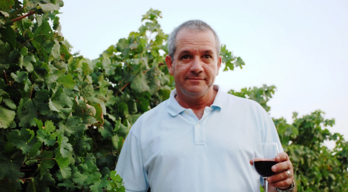 מתכוננים למשבר האקלים בכרמים ובנוסף- יושבתו 9000 דונם כרמי יין עקב שנת השמיטה