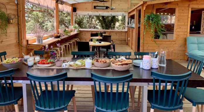 תיירות עין זיוון מציעה לכבוד יום האישה הבינלאומי מפגש ופעילות מרתקת עם נשים יזמיות