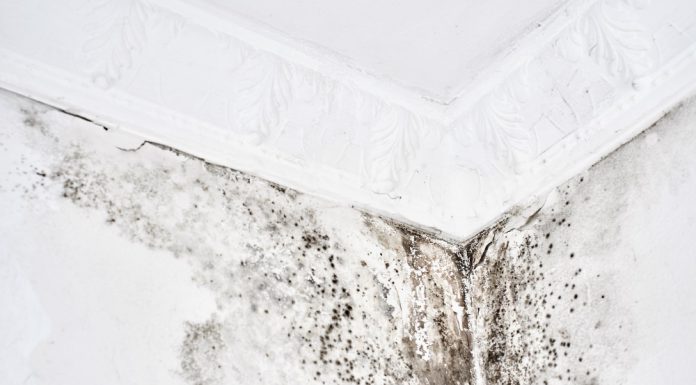 מדריך לבדיקת נזילות בדירה שיחסוך לכם הרבה כסף