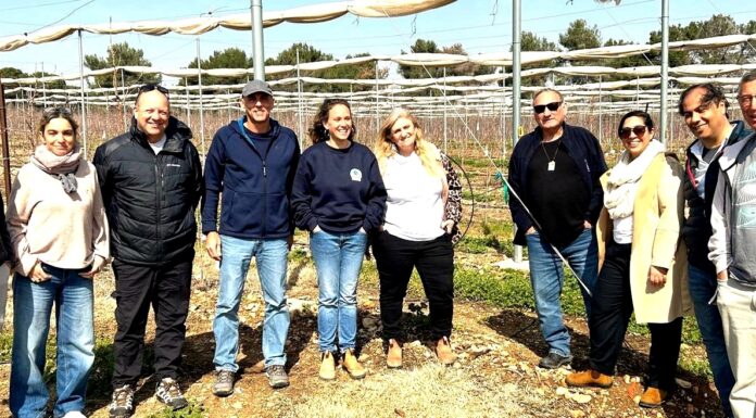 שיתוף פעולה מדעי בין מו"פ צפון למכון וולקני לפיתוח החקלאות במרחב הצפון