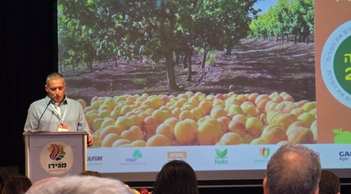 אתגר המשכיות לחקלאות ושילוב הדור הצעיר בענף עמד במרכז ועידת ארגון מגדלי הפירות