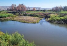 טיולי סתיו בחיק הטבע מסלולים מומלצים ב'שביל סובב כינרת'