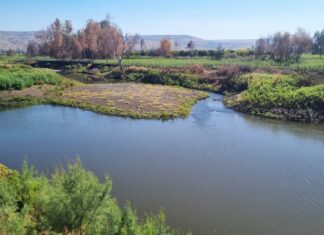 טיולי סתיו בחיק הטבע מסלולים מומלצים ב'שביל סובב כינרת'
