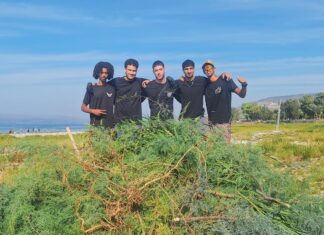 מצילים את צדפות הכינרת קרדיט צילום: אושרי בן דור, איגוד ערים כינרת