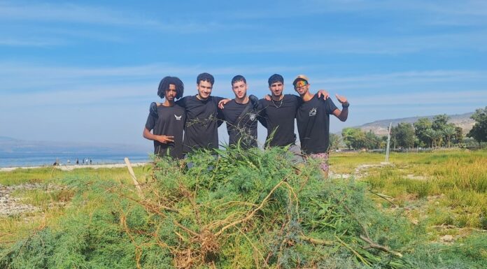 מצילים את צדפות הכינרת קרדיט צילום: אושרי בן דור, איגוד ערים כינרת