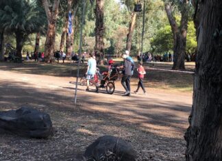 קק"ל מציינת את היום הבינלאומי לזכויות אנשים עם מוגבלות באירועי "נגישות ורגישות לאדם ולסביבה" ברחבי הארץ